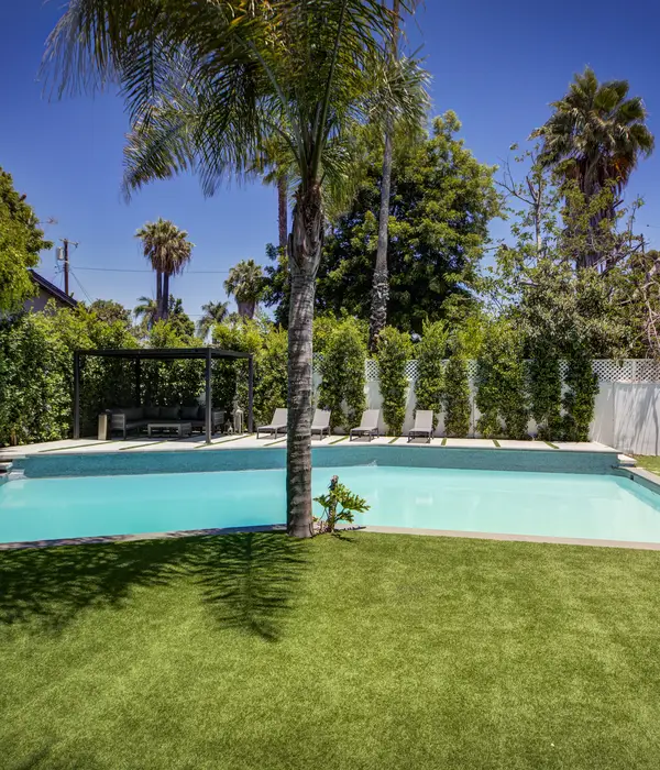 lost angels pool palm tree fore